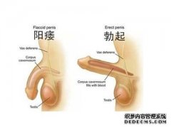西宁男性小心走进性功能障碍的误区